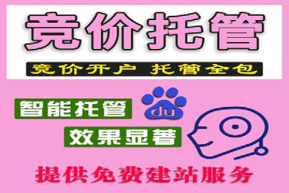 百度搜索推广案例解析：效果显著的成功案例